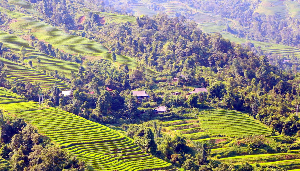 Quy hoạch giao thông